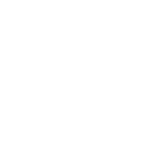 ic_International