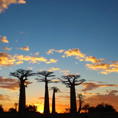 460-Engagement-4---Lutte-contre-le-Réchauffement-Climatique-P3