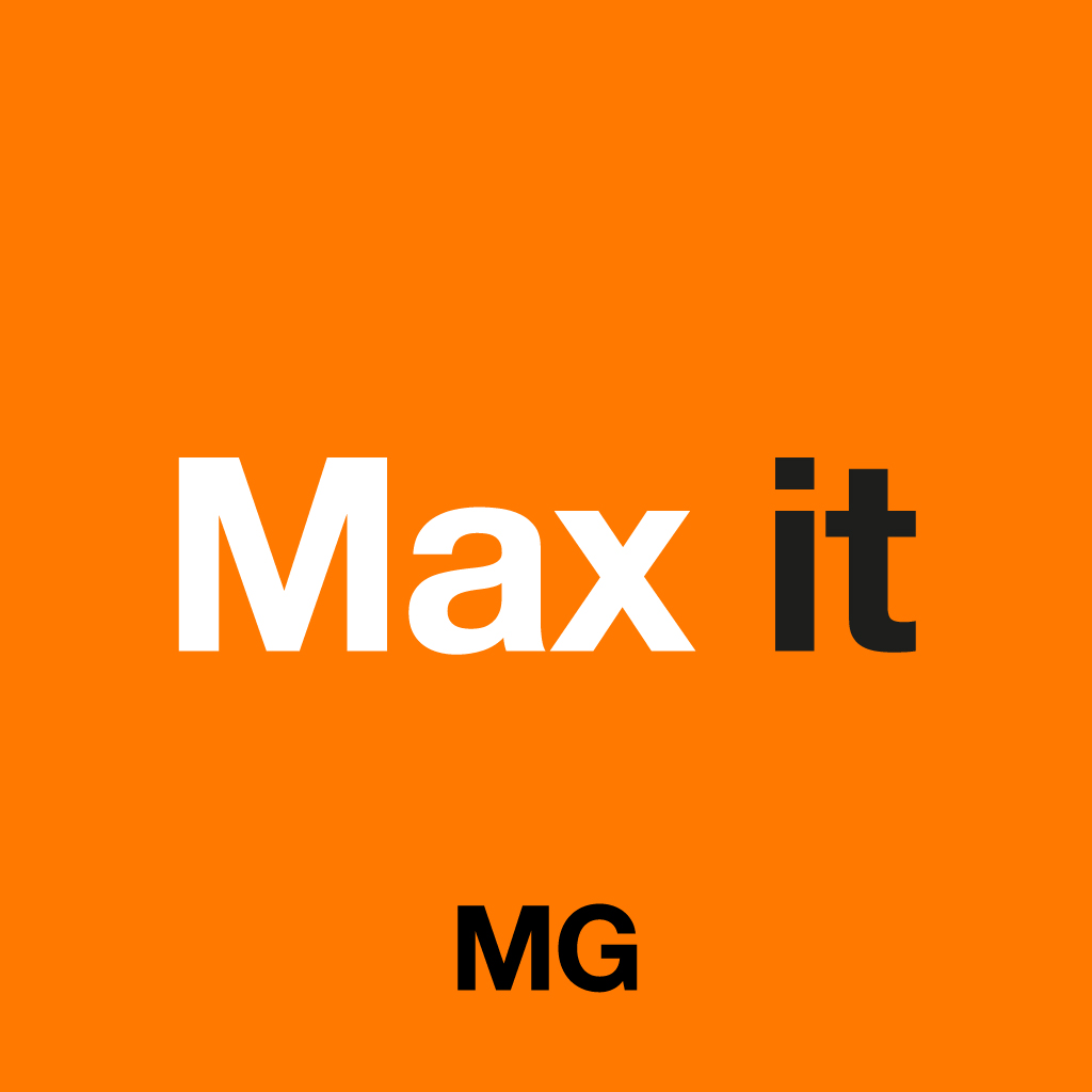 Logo max it